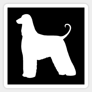 Afghan Hound White Silhouette Magnet